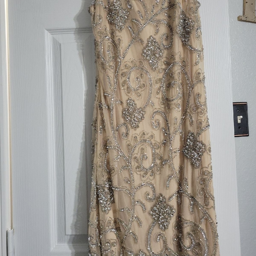 Elegant Beige and Silver Embellished Dress